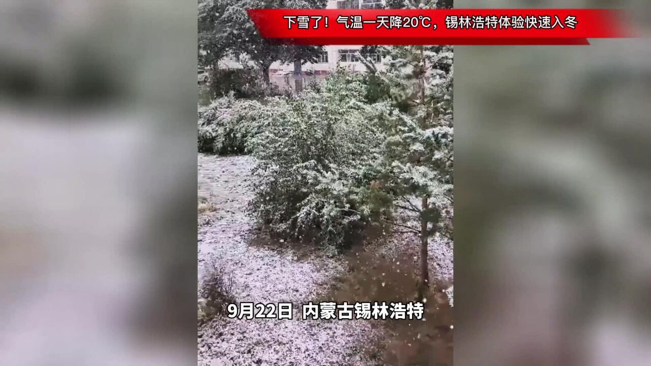 下雪了!气温一天降20℃,锡林浩特体验快速入冬