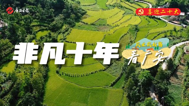 在脱贫路基上筑起振兴大道