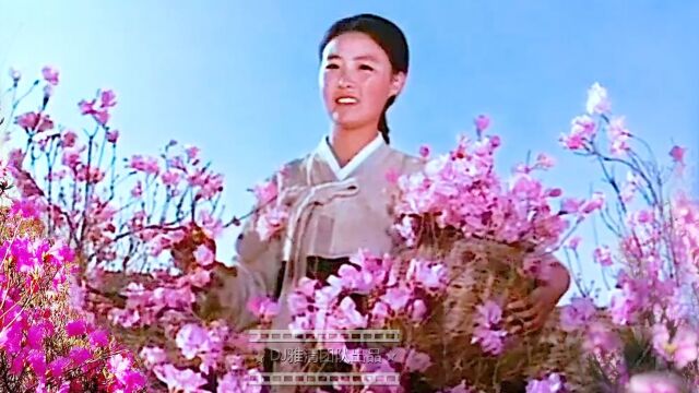 50年前的朝鲜催泪大片 向隽殊含泪配音 上映后更看哭所有中国观众