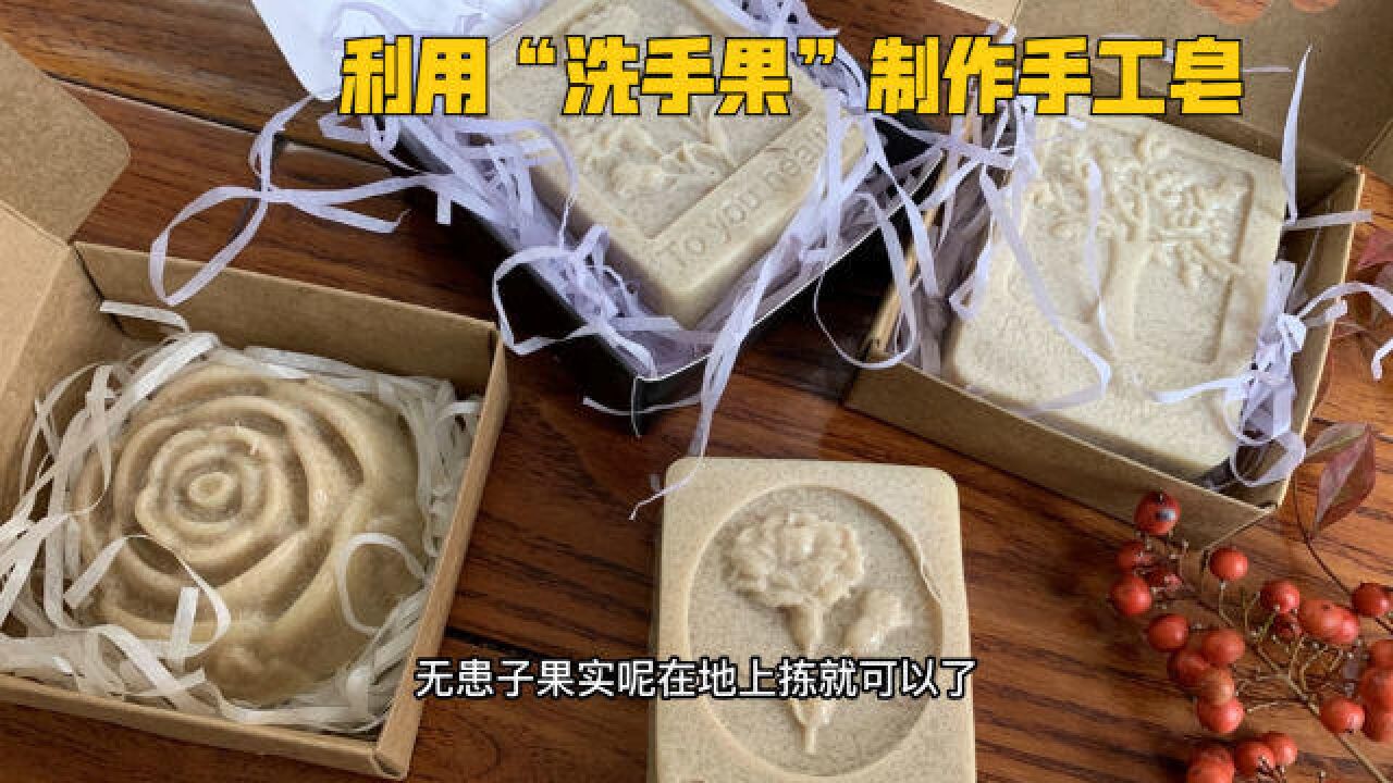 如何利用无患子自己DIY制作弱碱性手工皂