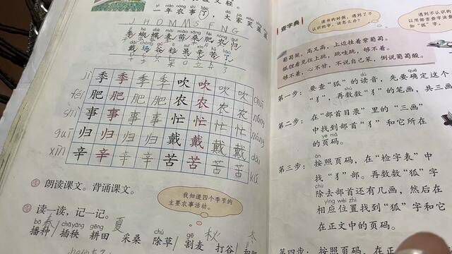 探讨一下小学文化吧 #学习