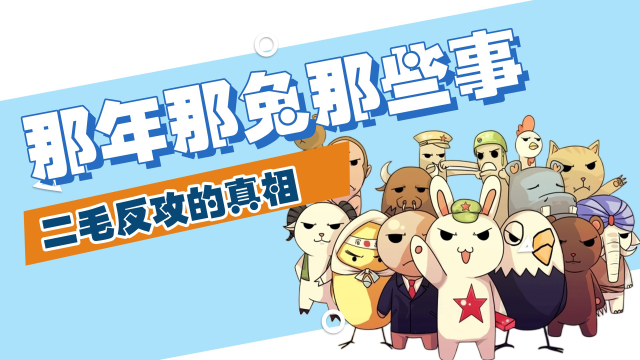 那年那兔那些事:二毛反攻的真相