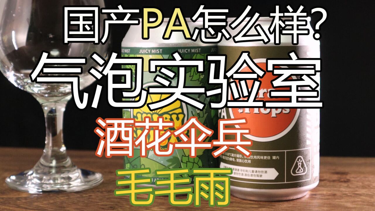 【精酿啤酒】试喝:国产PA怎么样?【气泡实验室】初体验