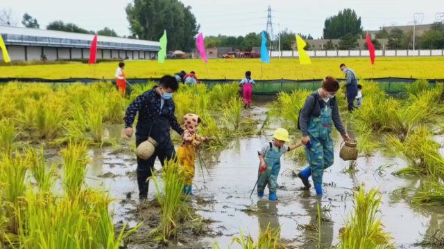 北京新增亲子游好去处:捉螃蟹、钓龙虾、坐小火车、看巨幅稻画