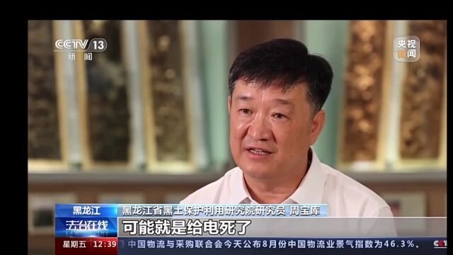 央视深度报道:保护“土壤卫士”蚯蚓