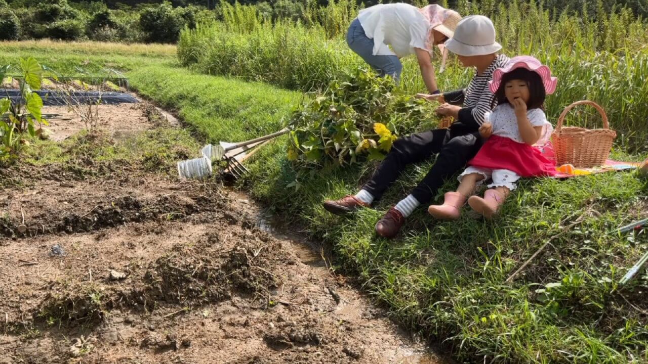 日本奶奶和小叔子帮打理菜园,天气太热了,干到一半被老公叫回家