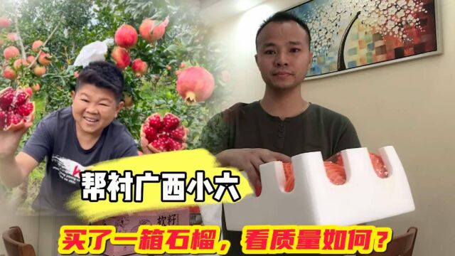 帮广西小六买石榴,一大箱才20多块,看品质如何?