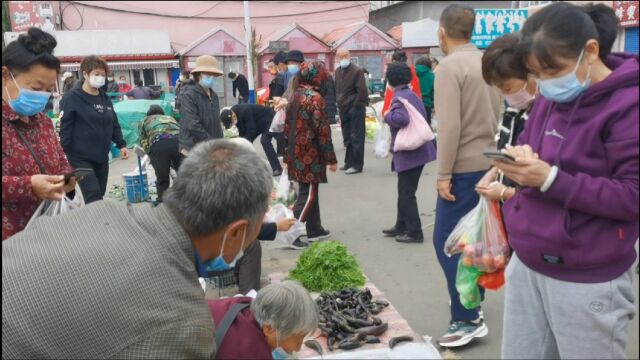 东北当地小县城终于解封了,跟美女逛市场,发现罕见的岛子鱼