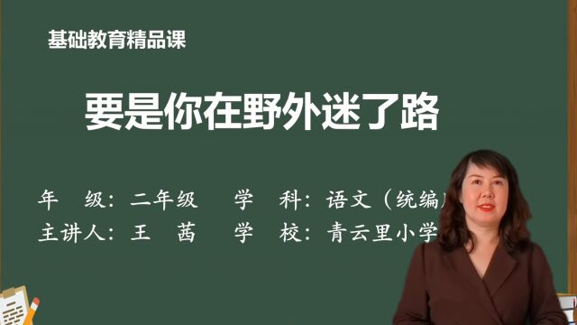 小学语文统编版二年级下册《要是你在野外迷了路》基础教育精品课视频