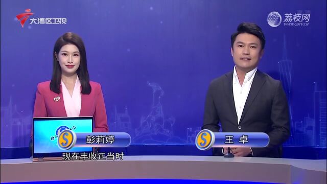 “稻蟹共生”模式 迎来“双丰收”