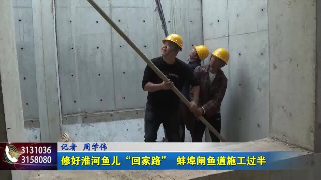 修好淮河鱼儿“回家路” 蚌埠闸鱼道施工过半