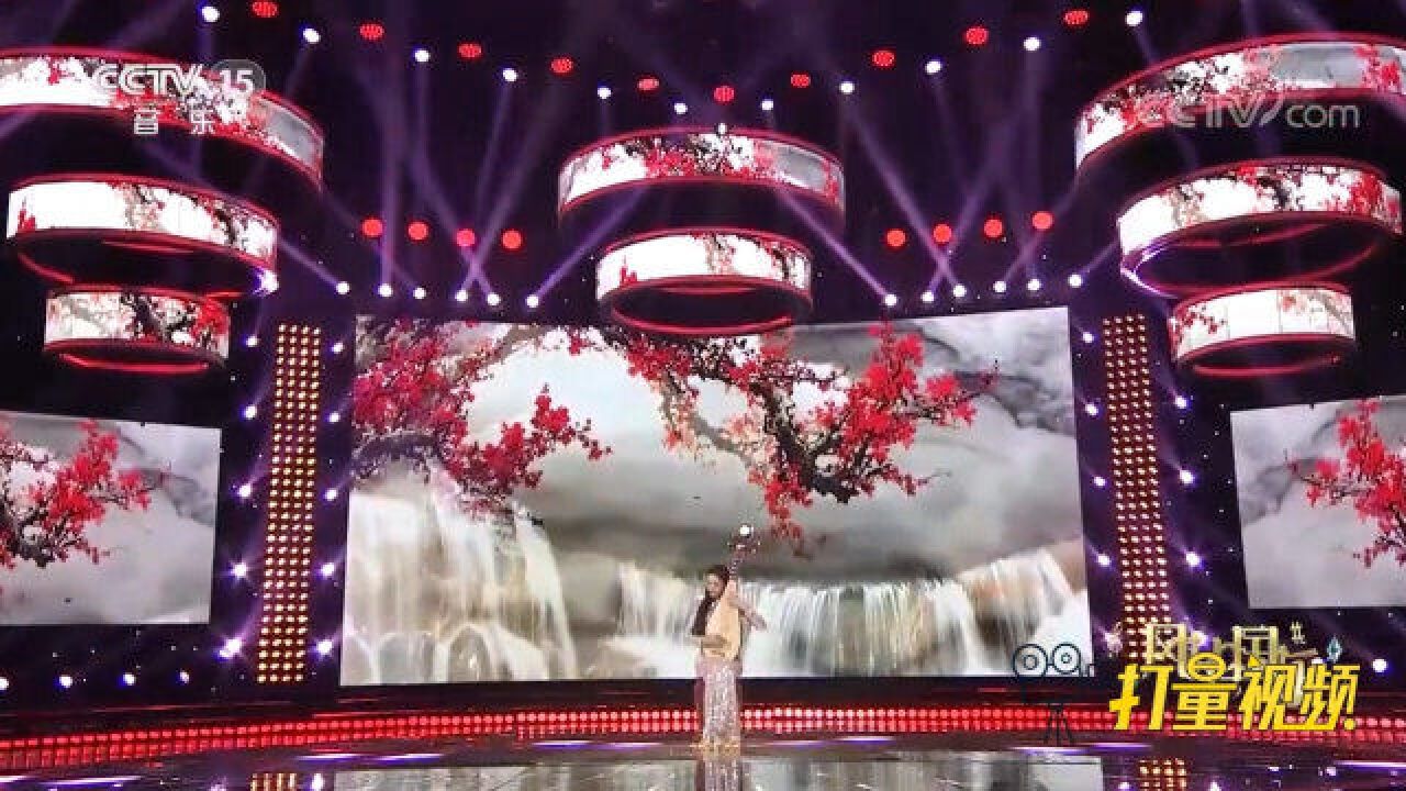 李卉演奏经典琵琶曲《红梅赞》,音色唯美,声声入人心