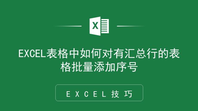 EXCEL表格中如何对有汇总行的表格批量添加序号