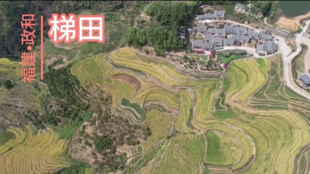 福建省南平市政和县念山云上梯田与云谷鹊桥