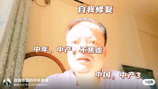 中国,中产3:概念综述