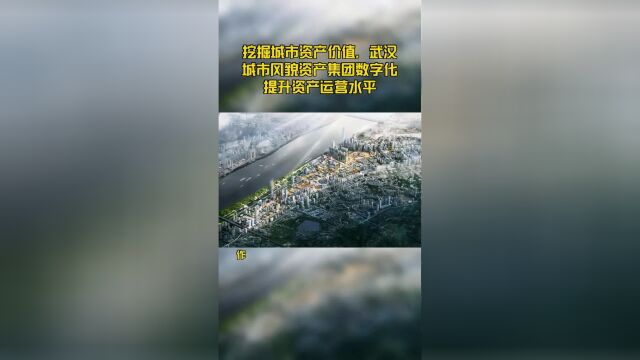 挖掘城市资产价值,武汉城市风貌资产集团数字化提升资产运营水平