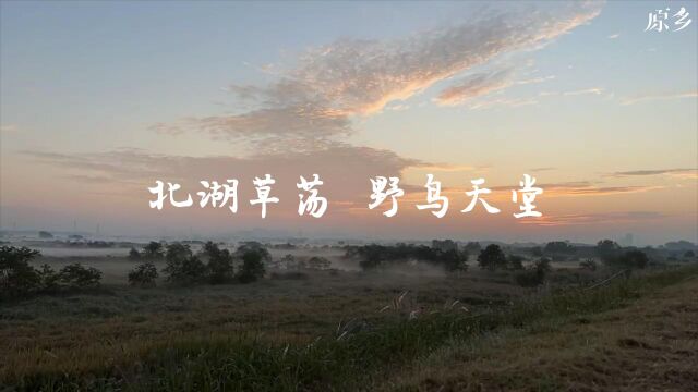 杭州市余杭区北湖草荡野鸟保护宣传片