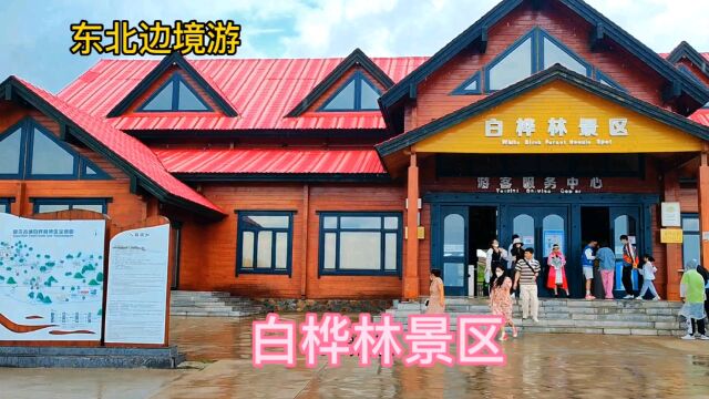 额尔古纳很美,从白桦林景区到额尔古纳,再到根河湿地公园