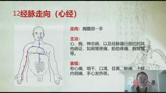 孙利群:手太阴心经讲解