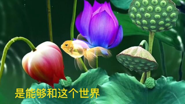 莲语14 制作:李小德兰