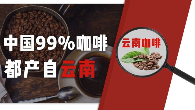 中国 99% 咖啡产自云南 品质与全球匹敌:你喝过吗?