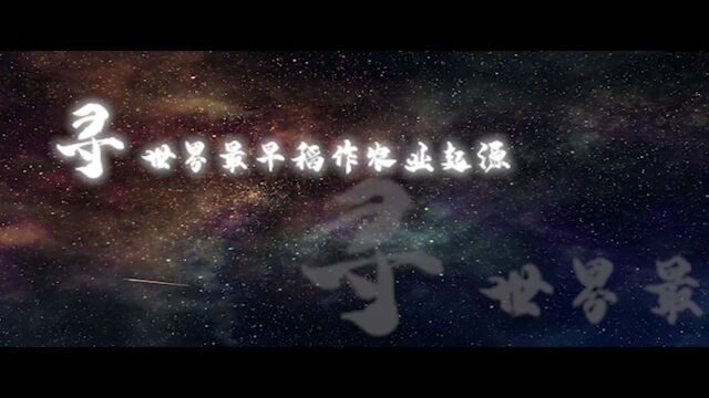 追寻文明的足迹①︱ 贾湖遗址:中华文明的星火从这里点燃