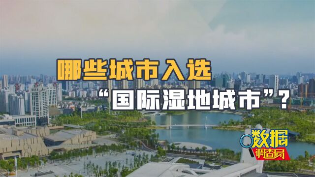 全球第一!中国湿地占全球湿地面积的4%,成为数量最多国家!