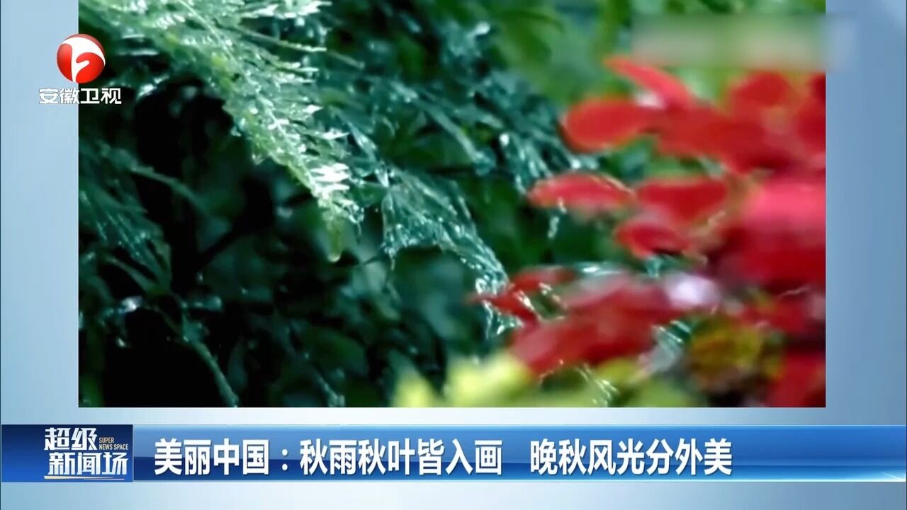 大美中国!秋雨秋叶皆入画,晚秋风光分外美