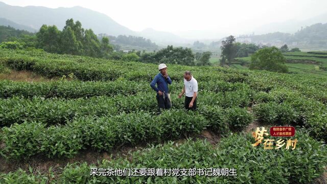 梦在乡村丨魏朝生:渔乡“山村”的领路人