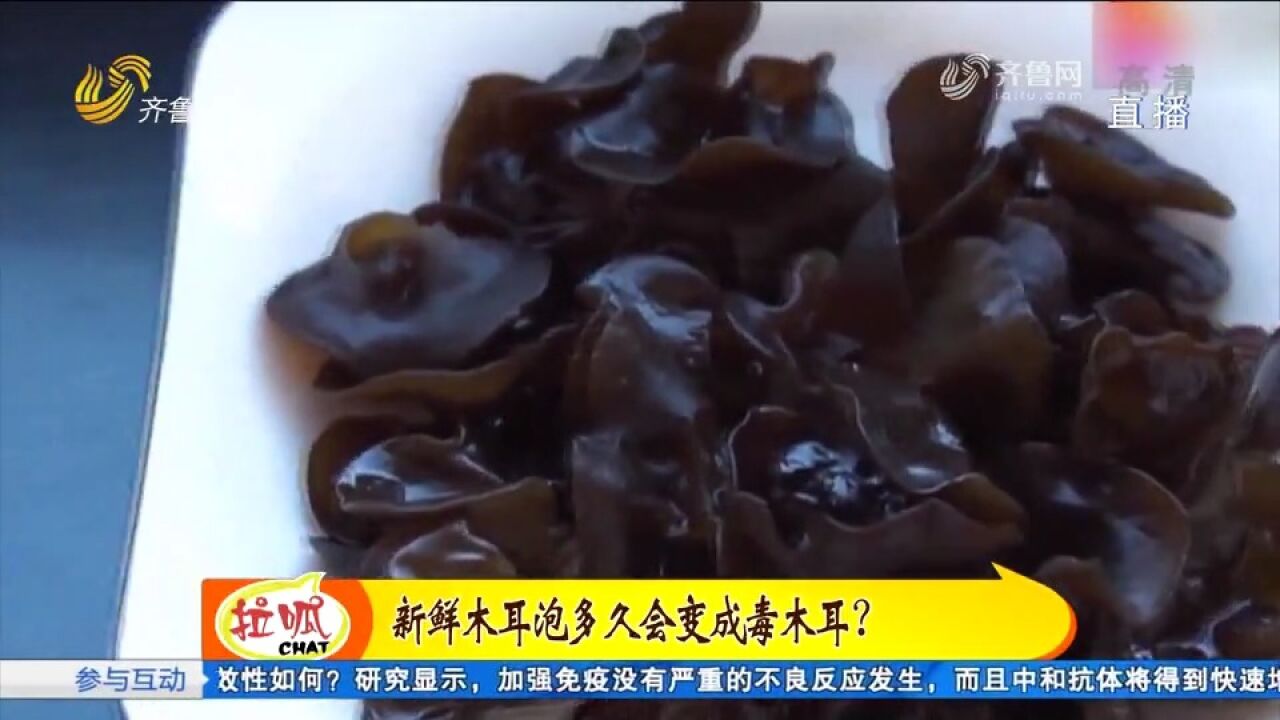 黑木耳久泡会变成“毒木耳”?这个视频给你答案,快来涨知识