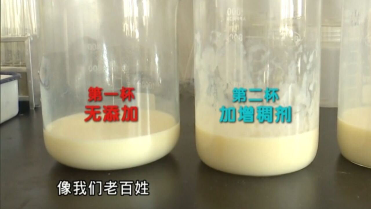 豆浆品质如何辨?怎么煮都不起皮?生产车间探究竟!