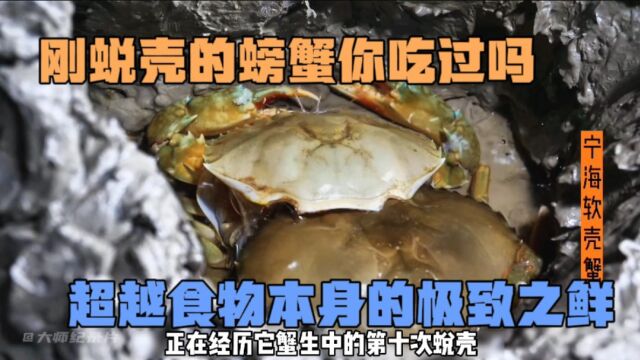 软壳蟹你吃过吗?真正超越食物本身的极致之鲜