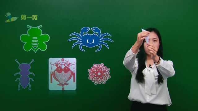 小学数学 —— 轴对称图形