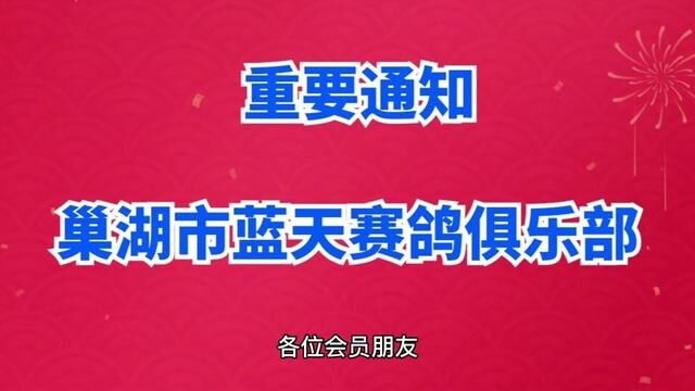 特比环决赛就要开打了#养鸽人 #信鸽赛鸽 #赛鸽比赛