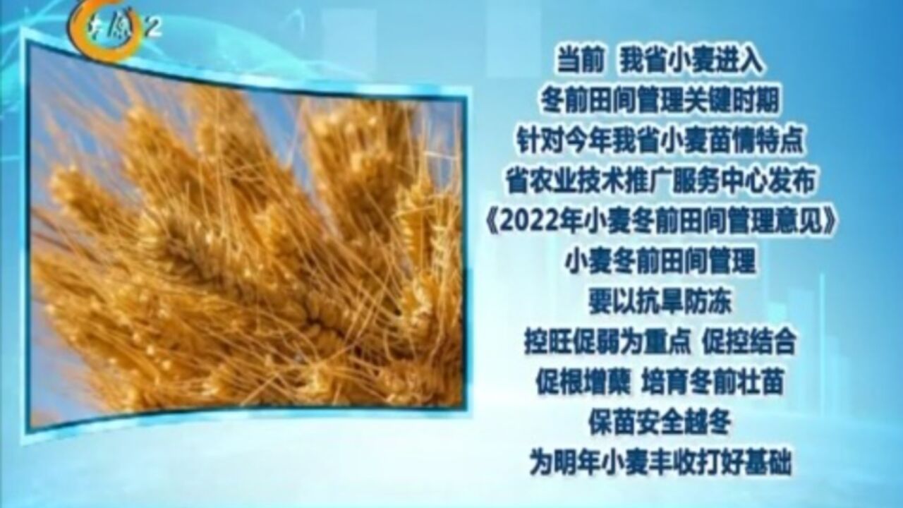 省农业技术推广服务中心发布《2022年小麦冬前田间管理意见》