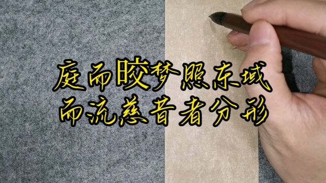 每日一练一创作