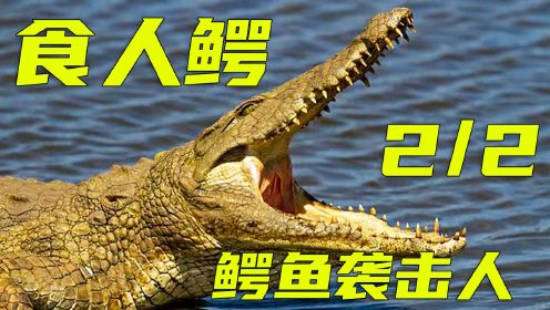 猎人王去湖中狩猎巨型食人鳄，没想到被鳄鱼吃掉《杀人鳄鱼潭》