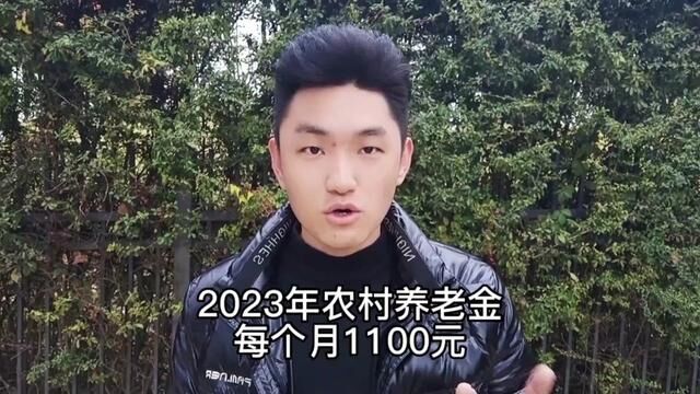 2023年农村养老金每个月1100,这是怎么算的?#三农 #农村养老金 #农村 #助力三农