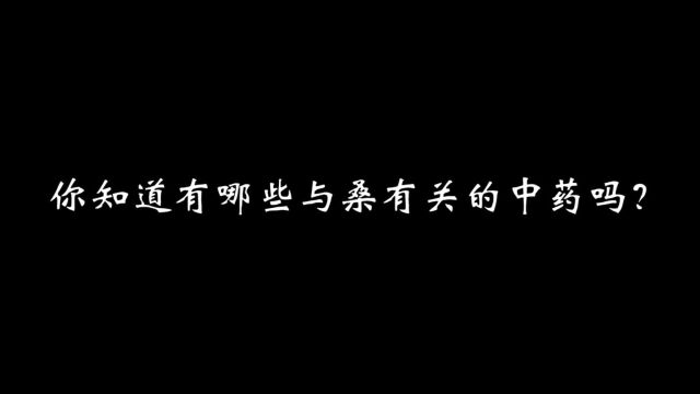 你知道有哪些与桑有关系的中药吗?