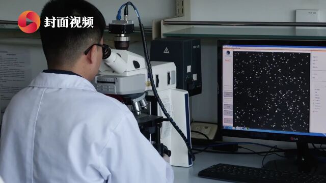 生物多样性之美|“熊猫博士”提高大熊猫繁殖率 破解更多未解之谜