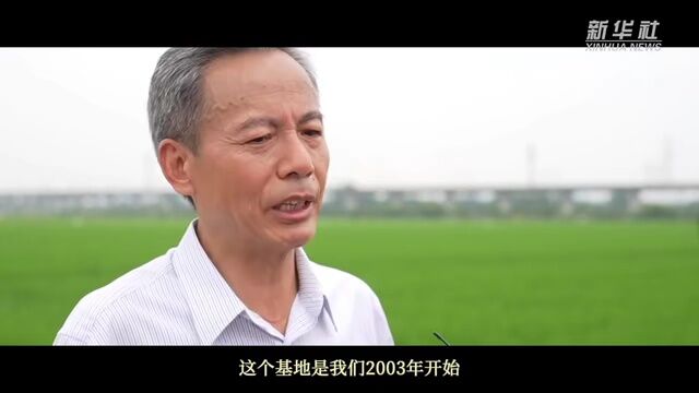 坚定不移走好高质量发展之路——以习近平同志为核心的党中央引领中国经济行稳致远述评