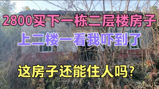 花2800元在乡下买下一栋房子,看到二楼我吓到了,这房子能住吗?