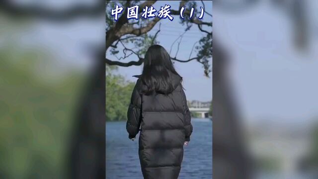 五十六个民族服饰穿搭展示