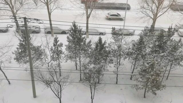 东北下大雪了,必须安排上一顿大鹅吃,吃完收拾收拾孩子玩具