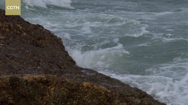 美丽中国:自然浙江象山系列第八集:煮海为盐