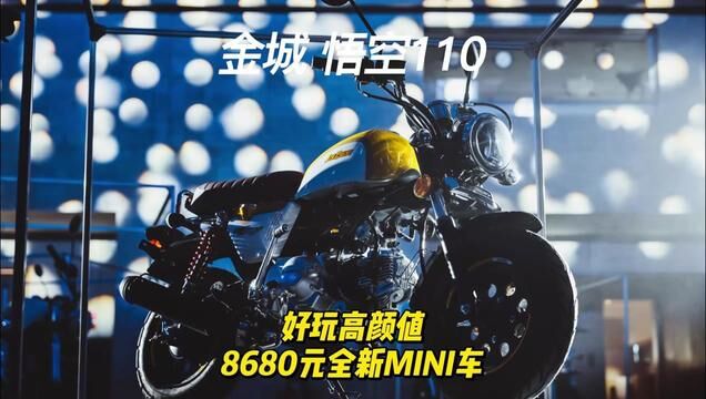 悟空不会筋斗云,最快只有80km/h,8680元领回家#悟空 #金城悟空 #金城小猴子