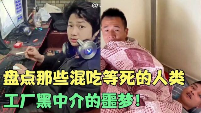 38个混吃等死的人类,包吃包住为啥上班?黑中介看了直摇头