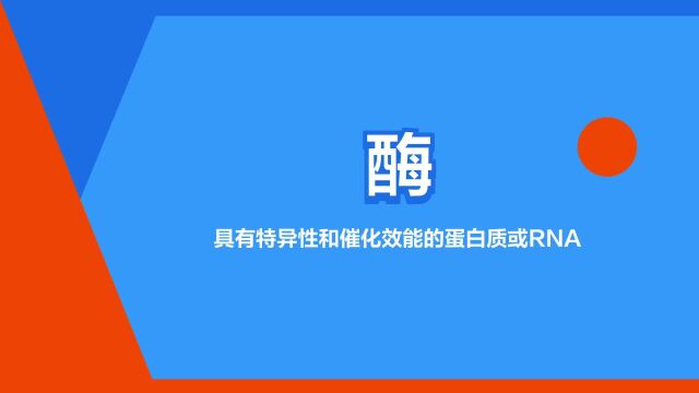 “酶”是什么意思?