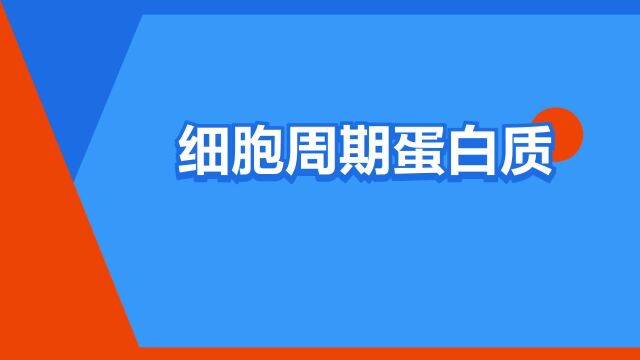 “细胞周期蛋白质”是什么意思?