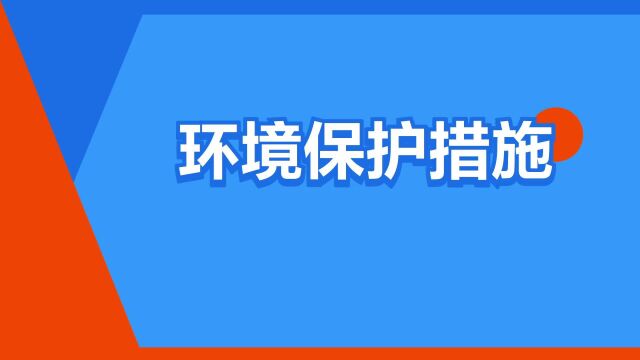 “环境保护措施”是什么意思?